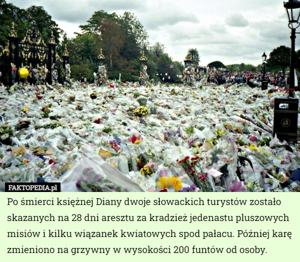 Po śmierci księżnej Diany dwoje słowackich turystów zostało skazanych na 28 dni aresztu za kradzież jedenastu pluszowych misiów i kilku wiązanek kwiatowych spod pałacu. Później karę zmieniono na grzywny w wysokości 200 funtów od osoby. 
