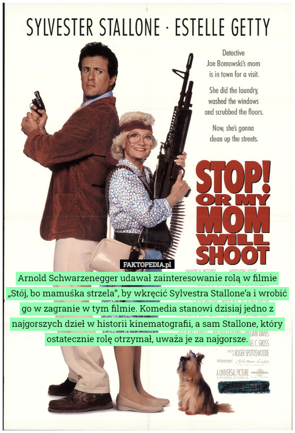 Arnold Schwarzenegger udawał zainteresowanie rolą w filmie „Stój, bo mamuśka strzela”, by wkręcić Sylvestra Stallone’a i wrobić go w zagranie w tym filmie. Komedia stanowi dzisiaj jedno z najgorszych dzieł w historii kinematografii, a sam Stallone, który ostatecznie rolę otrzymał, uważa je za najgorsze. 