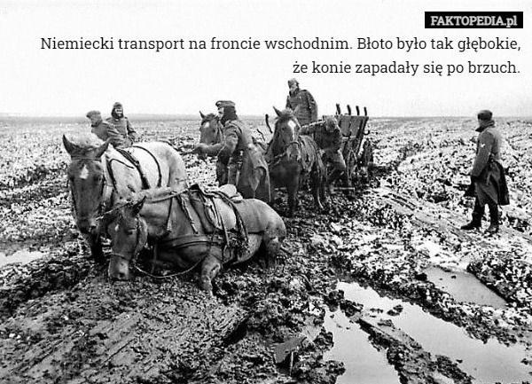 Niemiecki transport na froncie wschodnim. Błoto było tak głębokie,
że konie zapadały się po brzuch. 