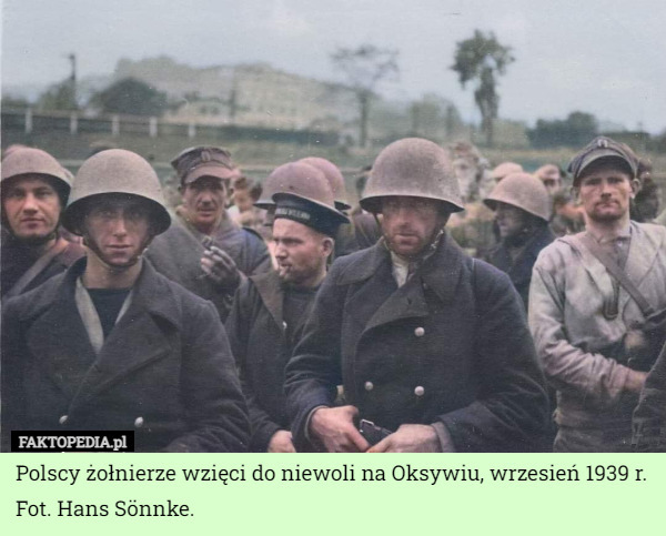 Polscy żołnierze wzięci do niewoli na Oksywiu, wrzesień 1939 r.
Fot. Hans Sönnke. 