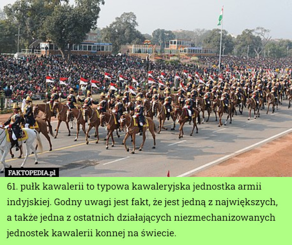 61. pułk kawalerii to typowa kawaleryjska jednostka armii indyjskiej. Godny uwagi jest fakt, że jest jedną z największych,
 a także jedna z ostatnich działających niezmechanizowanych jednostek kawalerii konnej na świecie. 
