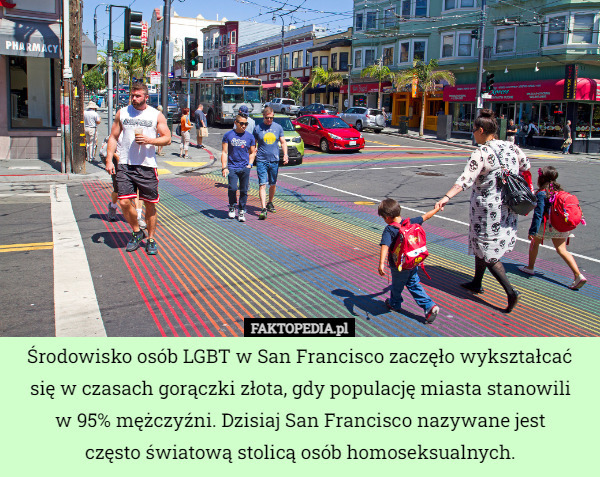 Środowisko osób LGBT w San Francisco zaczęło wykształcać się w czasach gorączki złota, gdy populację miasta stanowili
 w 95% mężczyźni. Dzisiaj San Francisco nazywane jest
 często światową stolicą osób homoseksualnych. 