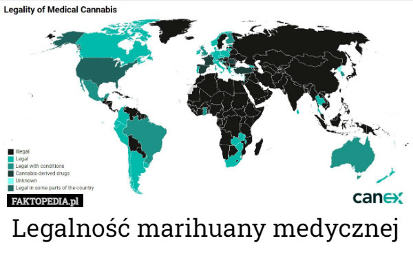 Legalność marihuany medycznej 