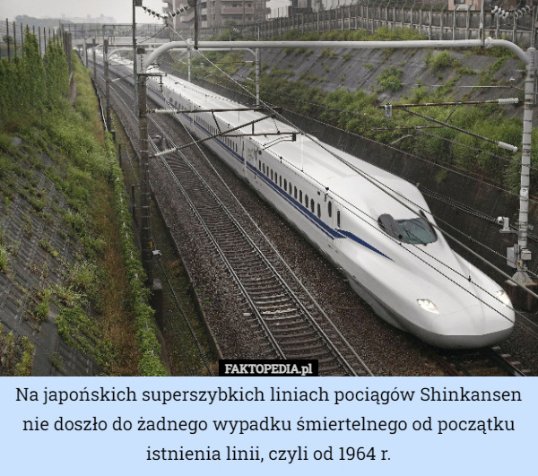 Na japońskich superszybkich liniach pociągów Shinkansen nie doszło do żadnego wypadku śmiertelnego od początku istnienia linii, czyli od 1964 r. 