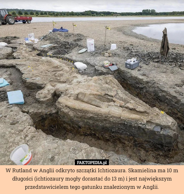 W Rutland w Anglii odkryto szczątki Ichtiozaura. Skamielina ma 10 m długości (ichtiozaury mogły dorastać do 13 m) i jest największym przedstawicielem tego gatunku znalezionym w Anglii. 