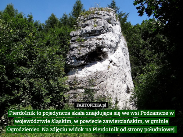Pierdo1nik to pojedyncza skała znajdująca się we wsi Podzamcze w województwie ś1ąskim, w powiecie zawierciańskim, w gminie Ogrodzieniec. Na zdjęciu widok na Pierdo1nik od strony południowej. 