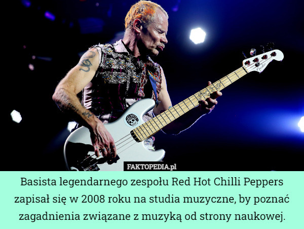 Basista legendarnego zespołu Red Hot Chilli Peppers zapisał się w 2008 roku na studia muzyczne, by poznać zagadnienia związane z muzyką od strony naukowej. 