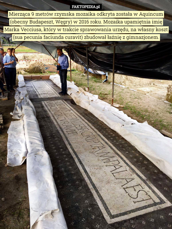 Mierząca 9 metrów rzymska mozaika odkryta została w Aquincum (obecny Budapeszt, Węgry) w 2016 roku. Mozaika upamiętnia imię Marka Vecciusa, który w trakcie sprawowania urzędu, na własny koszt (sua pecunia faciunda curavit) zbudował łaźnię z gimnazjonem. 
