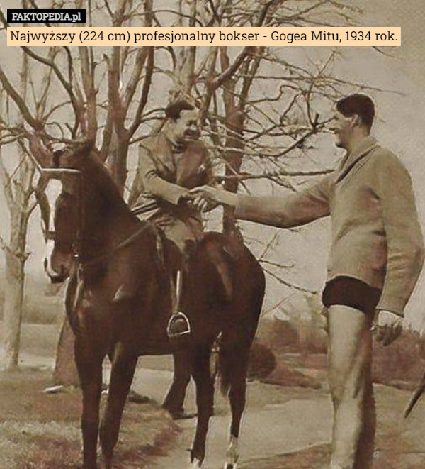 Najwyższy (224 cm) profesjonalny bokser - Gogea Mitu, 1934 rok. 