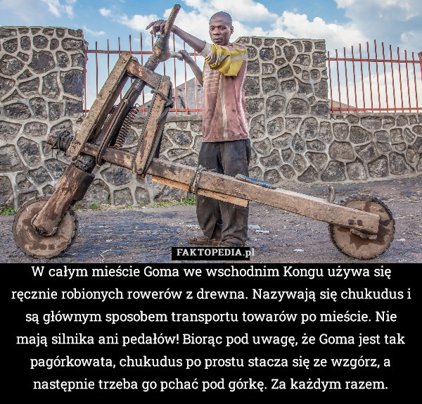W całym mieście Goma we wschodnim Kongu używa się ręcznie robionych rowerów z drewna. Nazywają się chukudus i są głównym sposobem transportu towarów po mieście. Nie mają silnika ani pedałów! Biorąc pod uwagę, że Goma jest tak pagórkowata, chukudus po prostu stacza się ze wzgórz, a następnie trzeba go pchać pod górkę. Za każdym razem. 