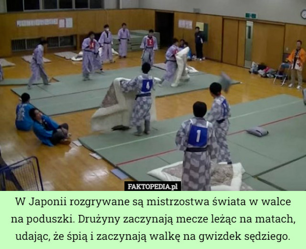 W Japonii rozgrywane są mistrzostwa świata w walce na poduszki. Drużyny zaczynają mecze leżąc na matach, udając, że śpią i zaczynają walkę na gwizdek sędziego. 