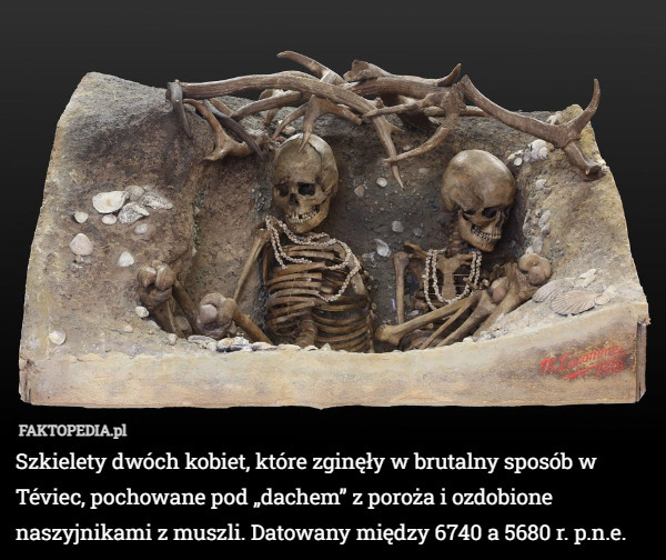Szkielety dwóch kobiet, które zginęły w brutalny sposób w Téviec, pochowane pod „dachem” z poroża i ozdobione naszyjnikami z muszli. Datowany między 6740 a 5680 r. p.n.e. 