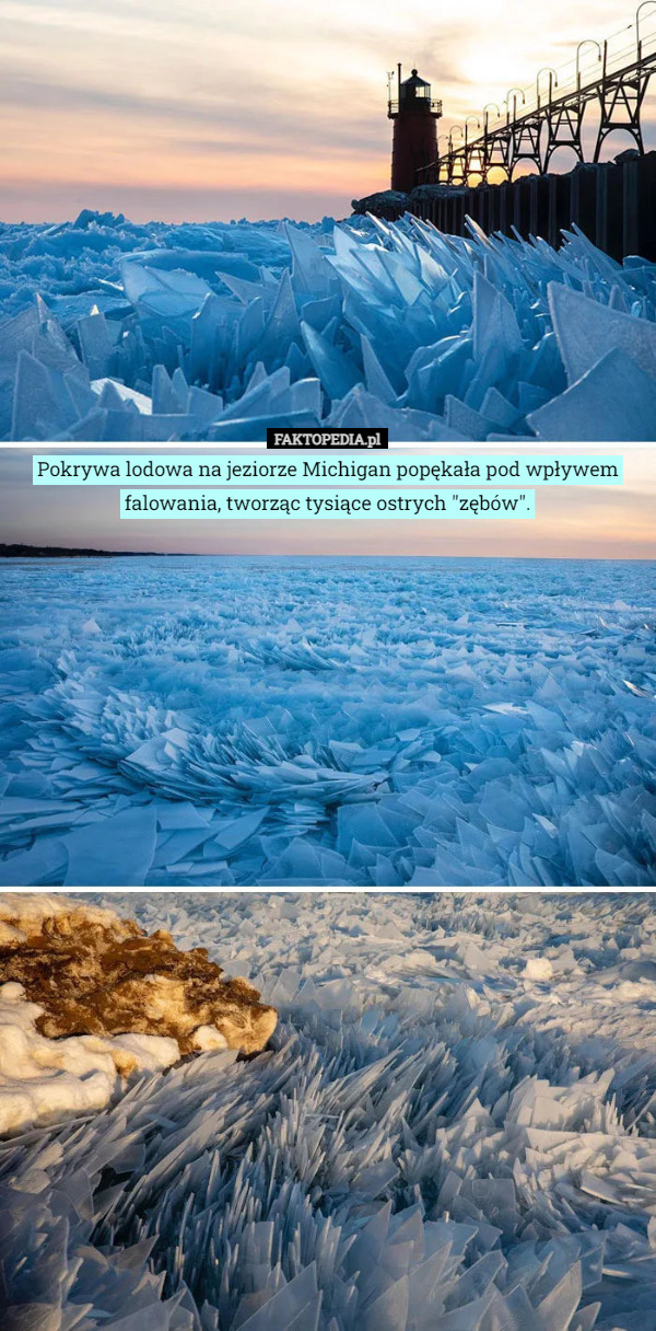 Pokrywa lodowa na jeziorze Michigan popękała pod wpływem falowania, tworząc tysiące ostrych "zębów". 