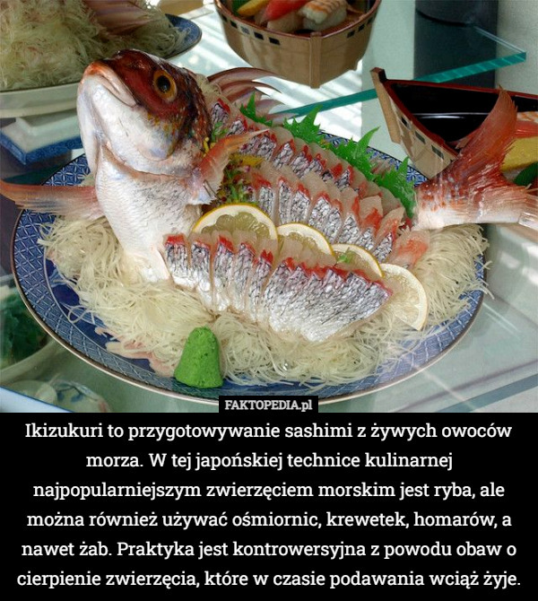 Ikizukuri to przygotowywanie sashimi z żywych owoców morza. W tej japońskiej technice kulinarnej najpopularniejszym zwierzęciem morskim jest ryba, ale można również używać ośmiornic, krewetek, homarów, a nawet żab. Praktyka jest kontrowersyjna z powodu obaw o cierpienie zwierzęcia, które w czasie podawania wciąż żyje. 