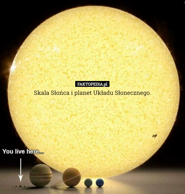 Skala Słońca i planet Układu Słonecznego. 