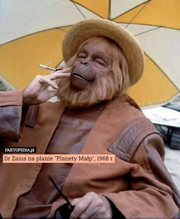 Dr Zaius na planie "Planety Małp", 1968 r. 