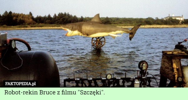 Robot-rekin Bruce z filmu "Szczęki". 