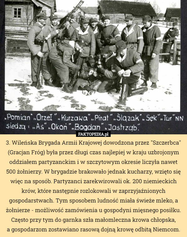 3. Wileńska Brygada Armii Krajowej dowodzona przez "Szczerbca" (Gracjan Fróg) była przez długi czas najlepiej w kraju uzbrojonym oddziałem partyzanckim i w szczytowym okresie liczyła nawet 500 żołnierzy. W brygadzie brakowało jednak kucharzy, wzięto się więc na sposób. Partyzanci zarekwirowali ok. 200 niemieckich krów, które następnie rozlokowali w zaprzyjaźnionych gospodarstwach. Tym sposobem ludność miała świeże mleko, a żołnierze - możliwość zamówienia u gospodyni mięsnego posiłku. Często przy tym do garnka szła małomleczna krowa chłopska,
 a gospodarzom zostawiano rasową dojną krowę odbitą Niemcom. 