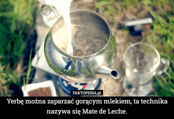 Yerbę można zaparzać gorącym mlekiem, ta technika nazywa się Mate de Leche. 