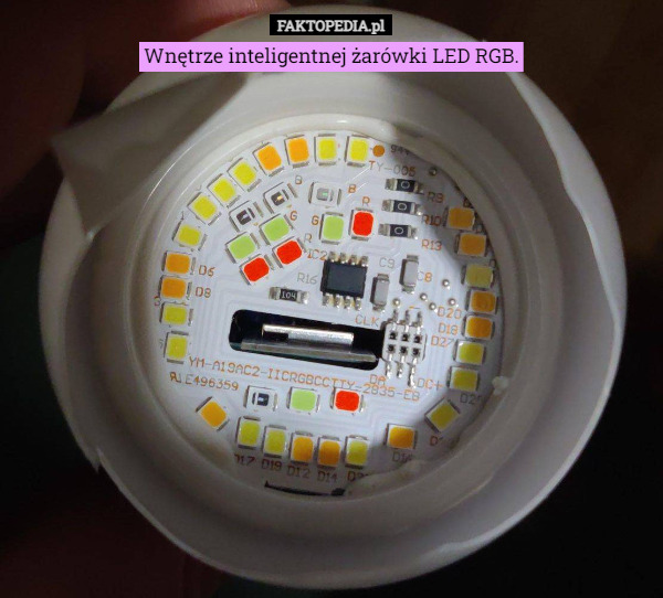 Wnętrze inteligentnej żarówki LED RGB. 
