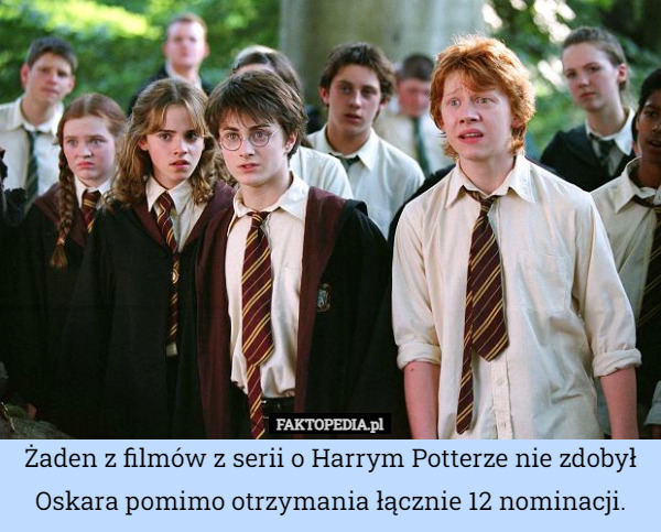 Żaden z filmów z serii o Harrym Potterze nie zdobył Oskara pomimo otrzymania łącznie 12 nominacji. 