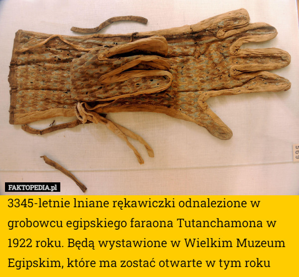 3345-letnie lniane rękawiczki odnalezione w grobowcu egipskiego faraona Tutanchamona w 1922 roku. Będą wystawione w Wielkim Muzeum Egipskim, które ma zostać otwarte w tym roku 
