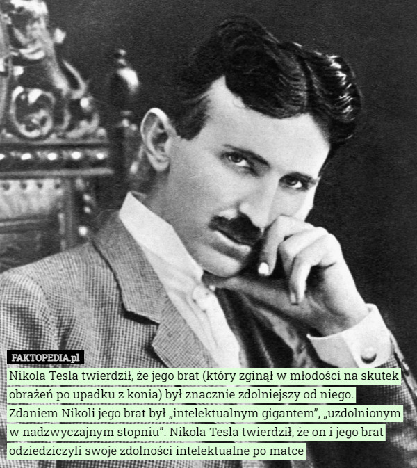 Nikola Tesla twierdził, że jego brat (który zginął w młodości na skutek obrażeń po upadku z konia) był znacznie zdolniejszy od niego.
 Zdaniem Nikoli jego brat był „intelektualnym gigantem”, „uzdolnionym w nadzwyczajnym stopniu”. Nikola Tesla twierdził, że on i jego brat odziedziczyli swoje zdolności intelektualne po matce 