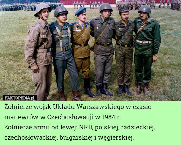Żołnierze wojsk Układu Warszawskiego w czasie manewrów w Czechosłowacji w 1984 r.
Żołnierze armii od lewej: NRD, polskiej, radzieckiej, czechosłowackiej, bułgarskiej i węgierskiej. 