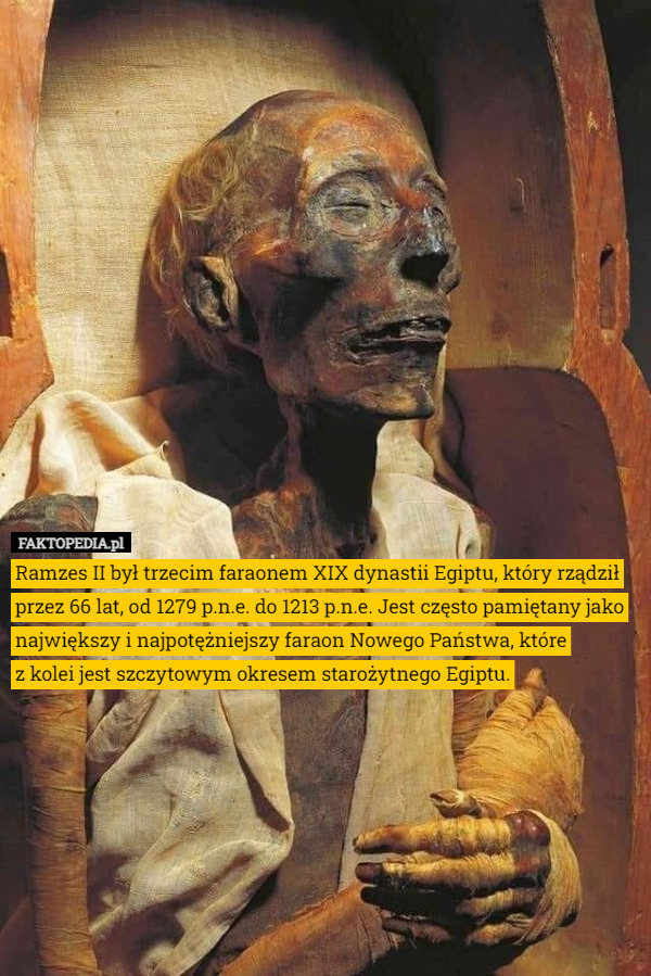 Ramzes II był trzecim faraonem XIX dynastii Egiptu, który rządził przez 66 lat, od 1279 p.n.e. do 1213 p.n.e. Jest często pamiętany jako największy i najpotężniejszy faraon Nowego Państwa, które
 z kolei jest szczytowym okresem starożytnego Egiptu. 