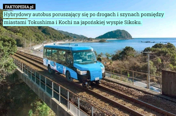 Hybrydowy autobus poruszający się po drogach i szynach pomiędzy miastami Tokushima i Kochi na japońskiej wyspie Sikoku. 
