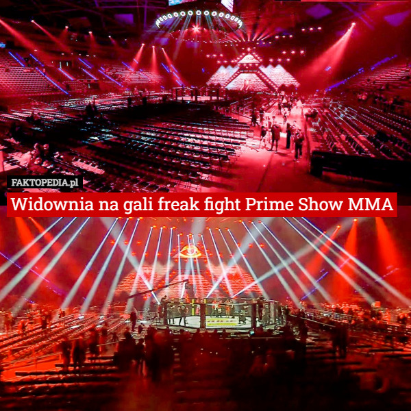 Widownia na gali freak fight Prime Show MMA 
