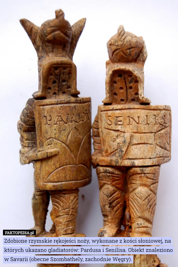 Zdobione rzymskie rękojeści noży, wykonane z kości słoniowej, na których ukazano gladiatorów: Pardusa i Senilisa. Obiekt znaleziono w Savarii (obecne Szombathely, zachodnie Węgry). 