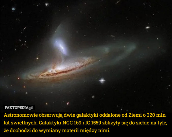 Astronomowie obserwują dwie galaktyki oddalone od Ziemi o 320 mln lat świetlnych. Galaktyki NGC 169 i IC 1559 zbliżyły się do siebie na tyle, że dochodzi do wymiany materii między nimi. 