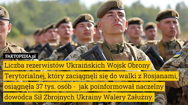 Liczba rezerwistów Ukraińskich Wojsk Obrony Terytorialnej, który zaciągnęli się do walki z Rosjanami, osiągnęła 37 tys. osób -  jak poinformował naczelny dowódca Sił Zbrojnych Ukrainy Walery Załużny. 