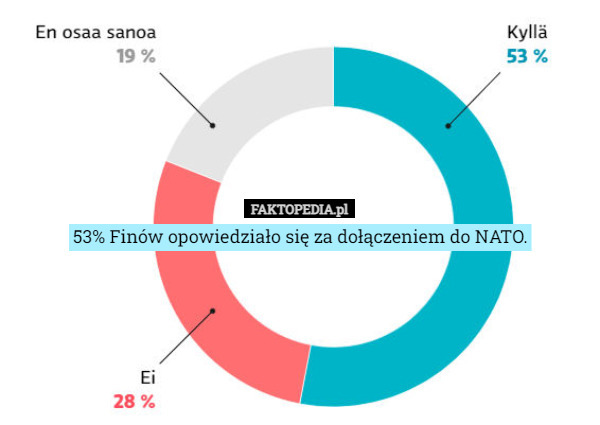53% Finów opowiedziało się za dołączeniem do NATO. 