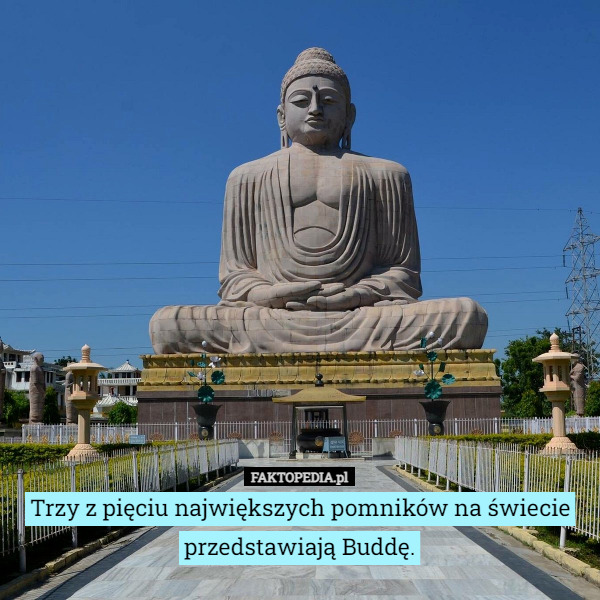 Trzy z pięciu największych pomników na świecie przedstawiają Buddę. 