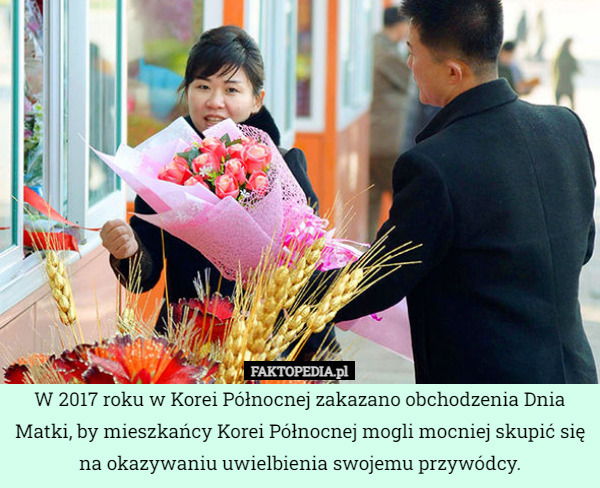 W 2017 roku w Korei Północnej zakazano obchodzenia Dnia Matki, by mieszkańcy Korei Północnej mogli mocniej skupić się na okazywaniu uwielbienia swojemu przywódcy. 