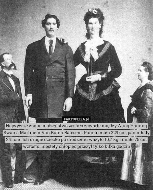 Najwyższe znane małżeństwo zostało zawarte między Anną Haining Swan a Martinem Van Buren Batesem. Panna miała 229 cm, pan młody 241 cm. Ich drugie dziecko po urodzeniu ważyło 10,7 kg i miało 75 cm wzrostu, niestety chłopiec przeżył tylko kilka godzin 