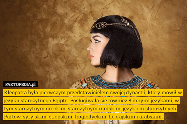 Kleopatra była pierwszym przedstawicielem swojej dynastii, który mówił w języku starożytnego Egiptu. Posługiwała się również 8 innymi językami, w tym starożytnym greckim, starożytnym irańskim, językiem starożytnych Partów, syryjskim, etiopskim, troglodyckim, hebrajskim i arabskim. 