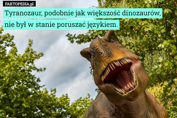 Tyranozaur, podobnie jak większość dinozaurów, nie był w stanie poruszać językiem. 