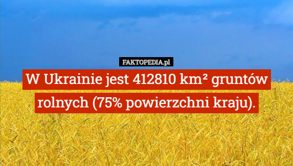 W Ukrainie jest 412810 km² gruntów rolnych (75% powierzchni kraju). 