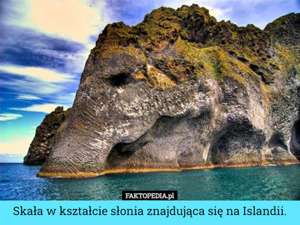 Skała w kształcie słonia znajdująca się na Islandii. 