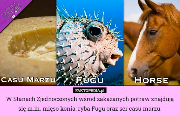 W Stanach Zjednoczonych wśród zakazanych potraw znajdują się m.in. mięso konia, ryba Fugu oraz ser casu marzu. 