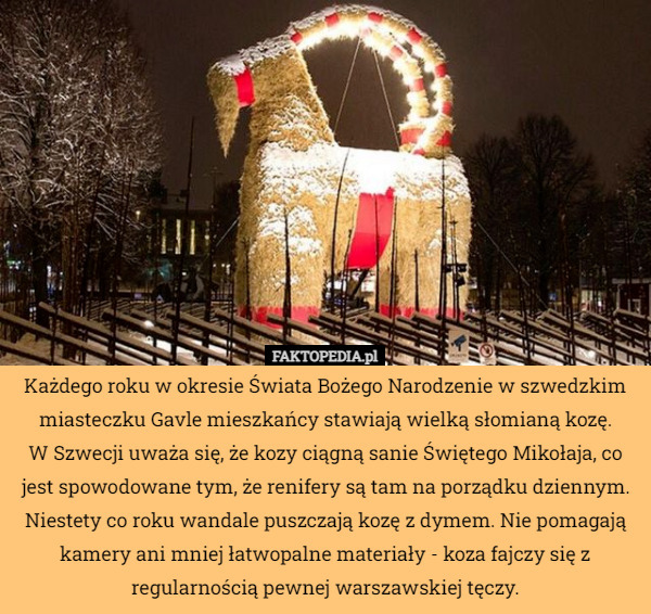 Każdego roku w okresie Świata Bożego Narodzenie w szwedzkim miasteczku Gavle mieszkańcy stawiają wielką słomianą kozę.
 W Szwecji uważa się, że kozy ciągną sanie Świętego Mikołaja, co jest spowodowane tym, że renifery są tam na porządku dziennym. Niestety co roku wandale puszczają kozę z dymem. Nie pomagają kamery ani mniej łatwopalne materiały - koza fajczy się z regularnością pewnej warszawskiej tęczy. 