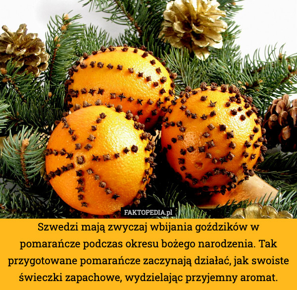 Szwedzi mają zwyczaj wbijania goździków w pomarańcze podczas okresu bożego narodzenia. Tak przygotowane pomarańcze zaczynają działać, jak swoiste świeczki zapachowe, wydzielając przyjemny aromat. 
