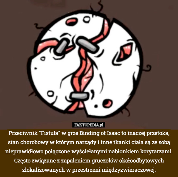 Przeciwnik "Fistula" w grze Binding of Isaac to inaczej przetoka, stan chorobowy w którym narządy i inne tkanki ciała są ze sobą nieprawidłowo połączone wyściełanymi nabłonkiem korytarzami. Często związane z zapaleniem gruczołów okołoodbytowych zlokalizowanych w przestrzeni międzyzwieraczowej. 