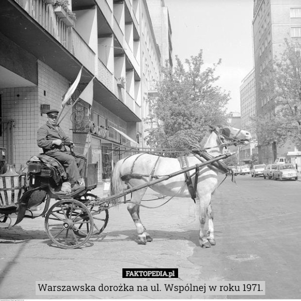 Warszawska dorożka na ul. Wspólnej w roku 1971. 