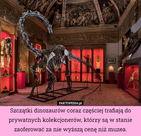 Szczątki dinozaurów coraz częściej trafiają do prywatnych kolekcjonerów, którzy są w stanie zaoferować za nie wyższą cenę niż muzea. 