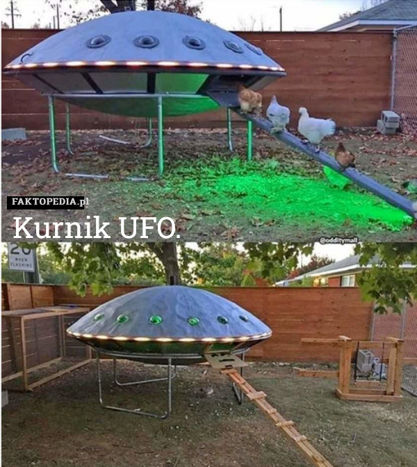 Kurnik UFO. 