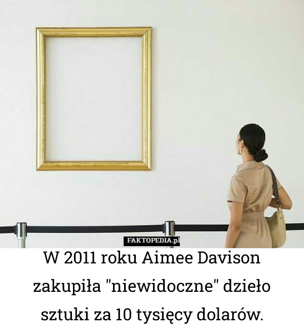 W 2011 roku Aimee Davison zakupiła "niewidoczne" dzieło sztuki za 10 tysięcy dolarów. 